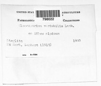 Gloeosporidiella variabilis image